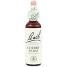 FLORES BACH CHERRY PLUM 20 ML