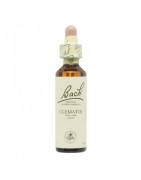 FLORES BACH CLEMATIS 20 ML