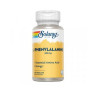 SOLARAY L-PHENYLANINE 500 MG 60 CÁPSULAS