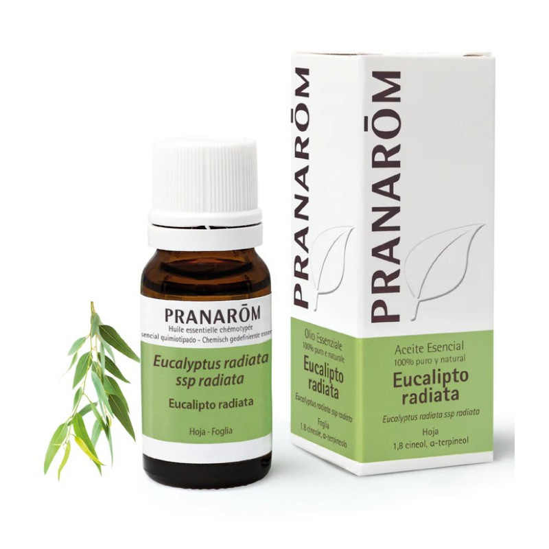 PRANAROM ACEITE ESENCIAL EUCALIPTO RADIATA 10 ML