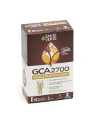 Santé Verte Articulaciones GCA 2700 Caja de 60 comprimidos