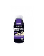 STC Nutrition Muscle Protein Sabor Vainilla 250ml