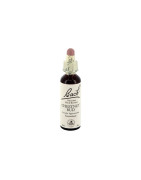 FLORES BACH CHESTNUT BUD 20 ML