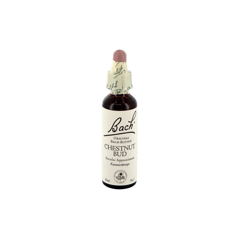 FLORES BACH CHESTNUT BUD 20 ML