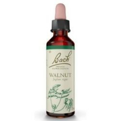 FLORES BACH WALNUT NOGAT 20 ML