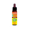 Inebios Elixir Floral N.6 Cherry Plum 10ml