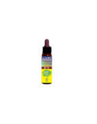 Flores de Bach Olmo Inebios ELM 10ml N ° 11