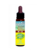 Flores de Bach Tojo Inebios GORSE 10ml N ° 13