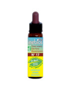 INEBIOS FLORES DE BACH HORNBEAM 10ML