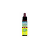 Flores de Bach Inebios 10ml SCLERANTHUS Alene
