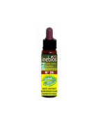 Inebios Elixir Floral N.35 White Chestnut 10ml