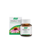 A VOGEL ECHINAFORCE FORTE 30 COMPRIMIDOS