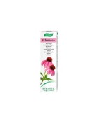 A. Vogel Echinacea Crema 35gr