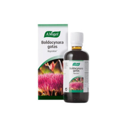 A. VOGEL BOLDOCYNARA GOTAS 100ML