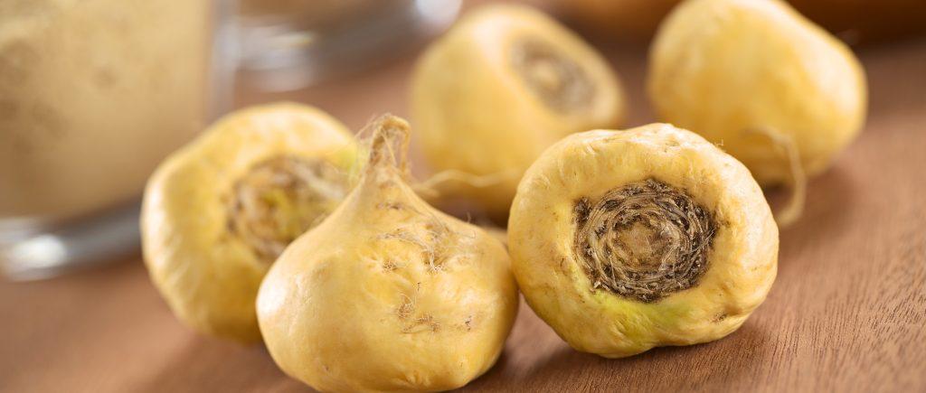 Raíz de maca andina