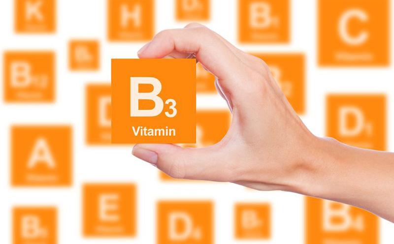 Vitamina B3 Niacina Astenia Vitamina B3 Niacina