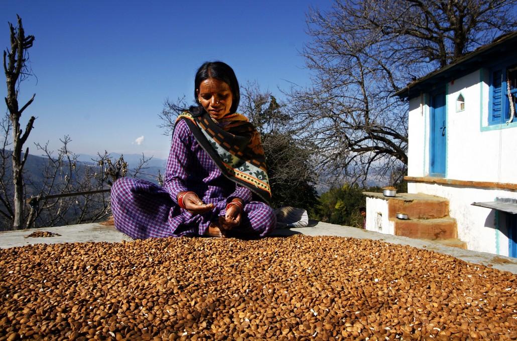 Soultree Cosmética Ayurvédica Soultree cosmética ayurvédica