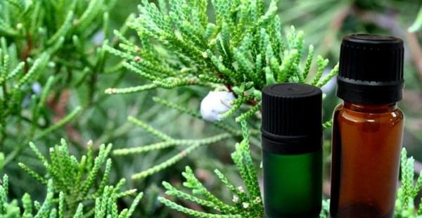 Aceite esencial de ciprés para la celulitis