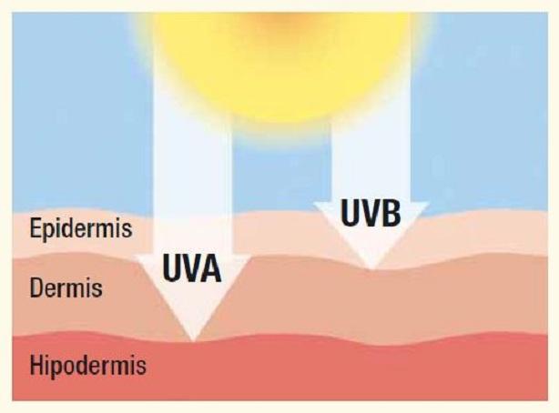 Radiación solar en la piel