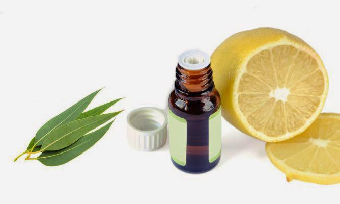 eucalipto y limón para eliminar piojos