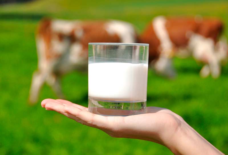 calcio oligoelementos calcio oligoelementos