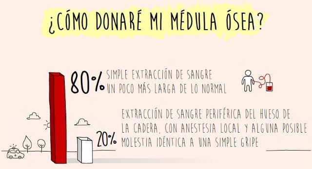 donar médula ósea
