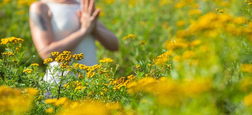 aromaterapia holística