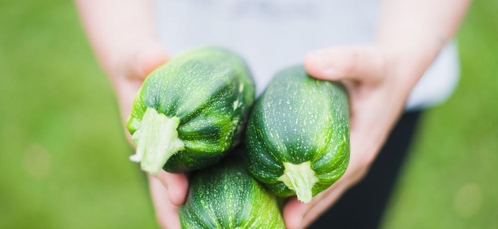 propiedades del calabacín