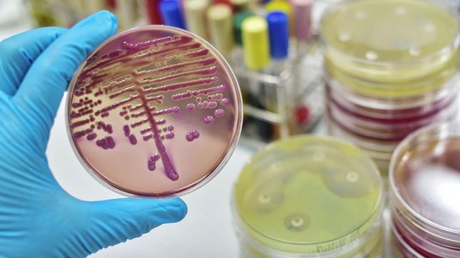 12 bacterias resistentes a los antibióticos