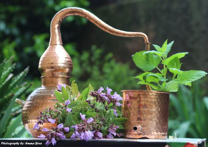 Aromaterapia destilación aceites esenciales