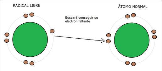 radicales libres radicales libres