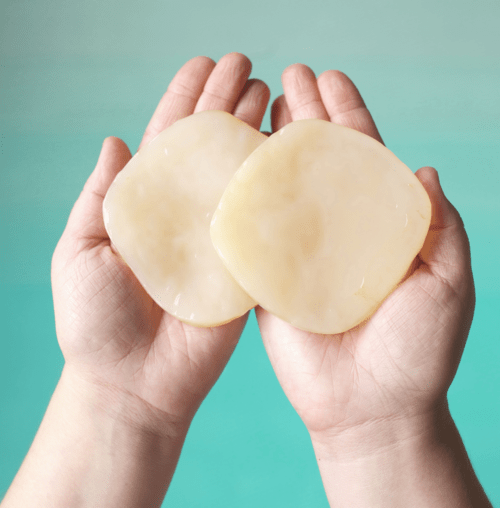 scoby-kombucha scoby-kombucha