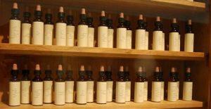 flores de bach propiedades