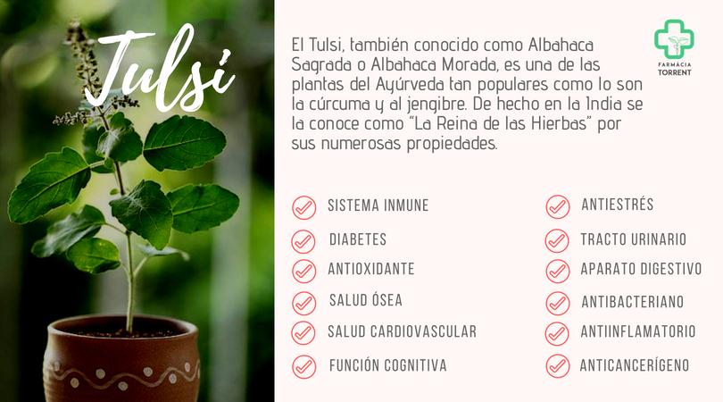 propiedades del tulsi