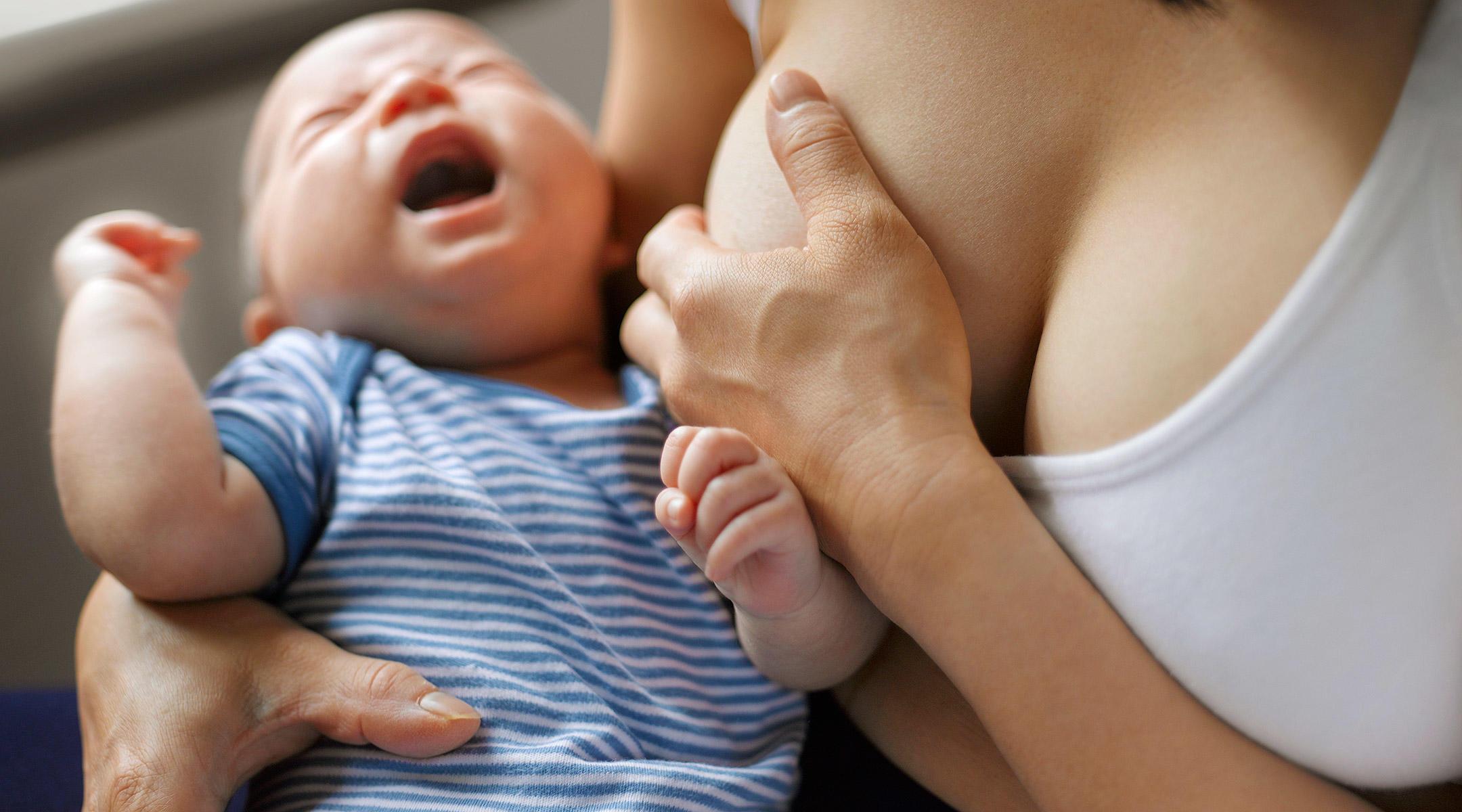 Mastitis: causas, prevención y soluciones