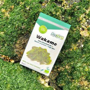 alga wakame