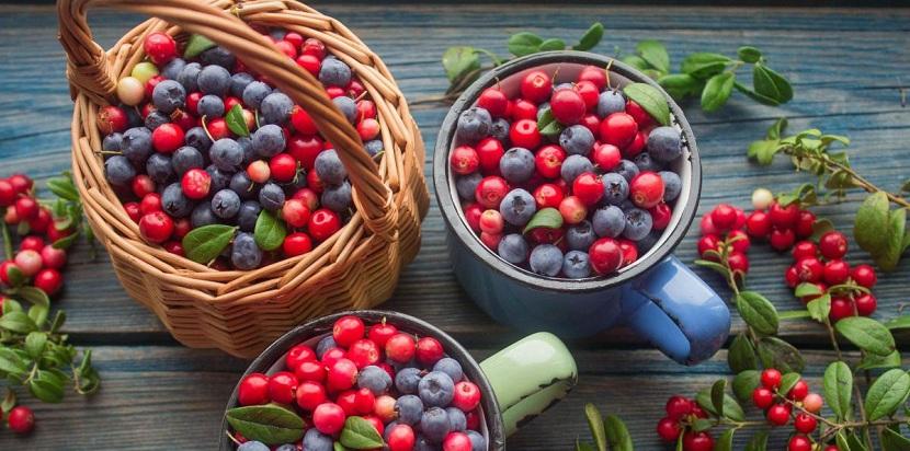 arándanos beneficios salud