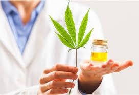 aceite de cbd farmacia torrent