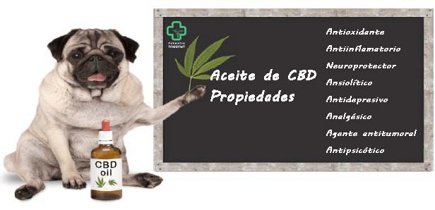 propiedades del aceite de cbd propiedades del aceite de cbd